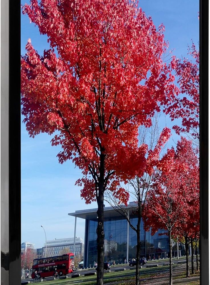 11x17 Picture Frame Black, Display pictures 11x17 Poster Frame, Wall Sign Poster Menu Photo Frames, 1 Pack - Image 9